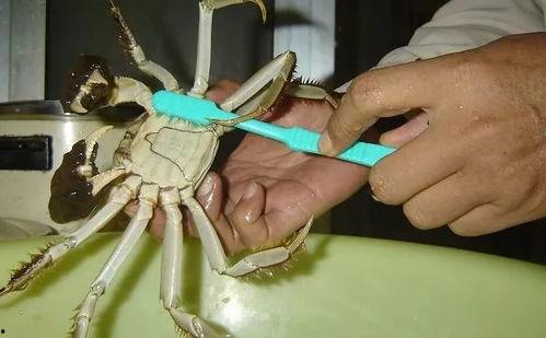 脏物在线观看,揭秘网络暗流涌动的惊悚故事  第2张